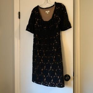 Ann Taylor LOFT Black lace dress size 6